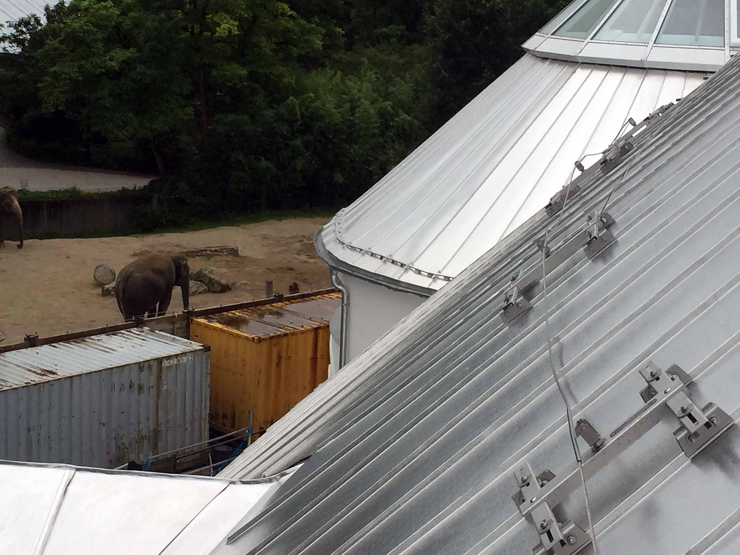 Elefantenhaus Tierpark Hellabrunn München